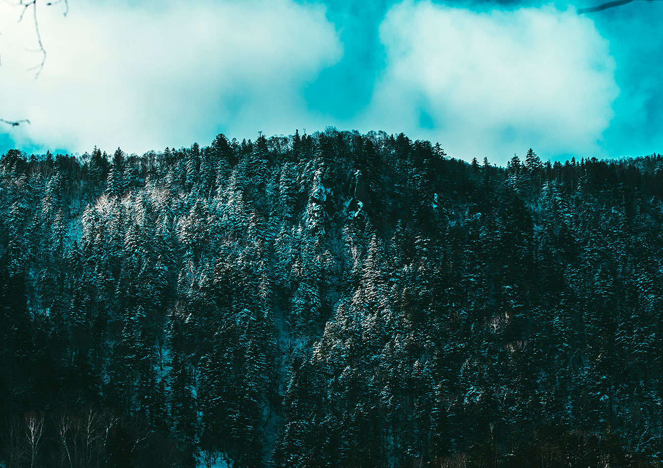50mm works01